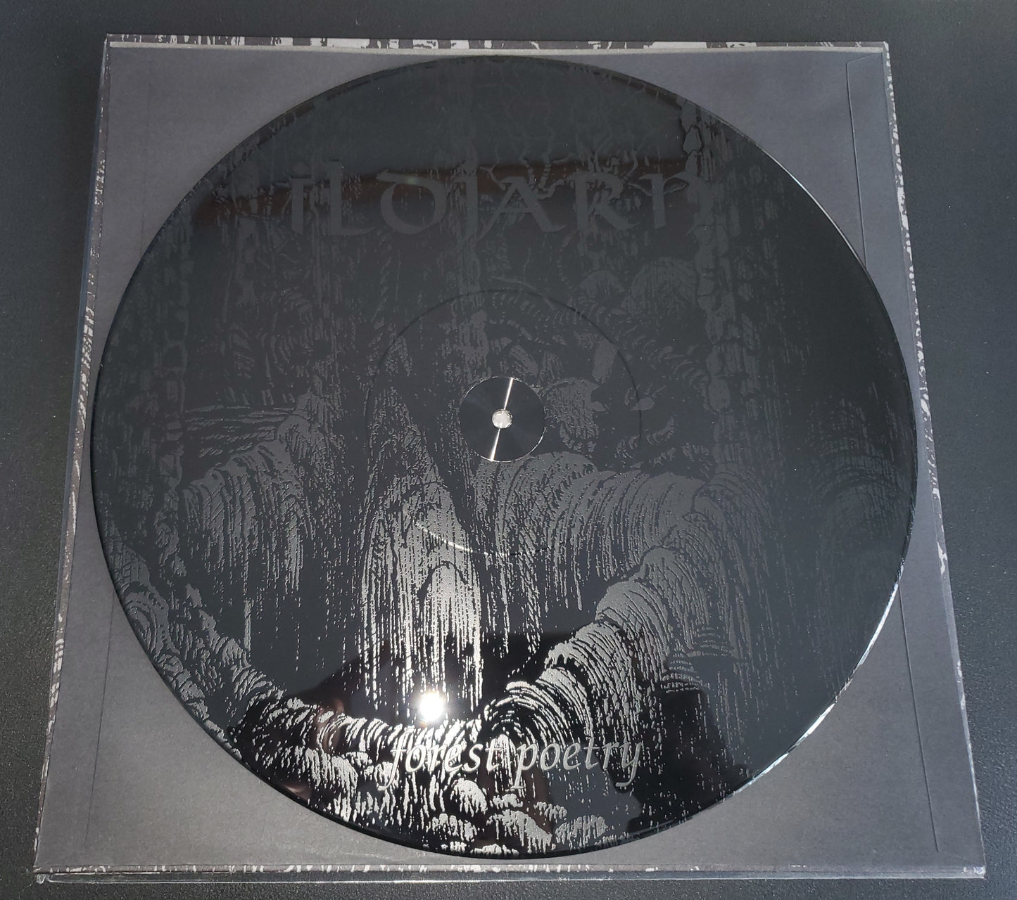Ildjarn - Forest Poetry DLP