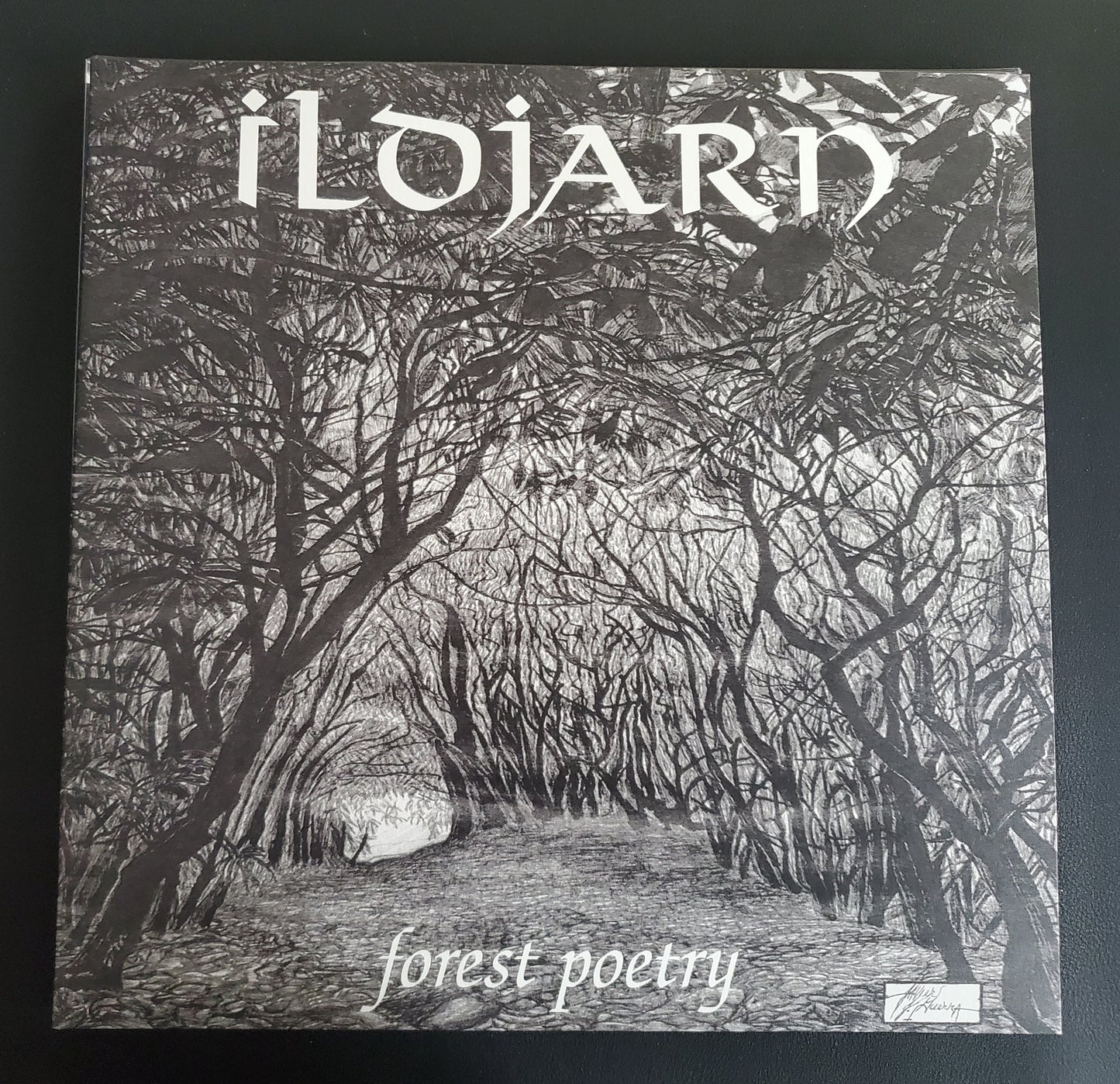 Ildjarn - Forest Poetry DLP